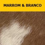 Marrom_Branco-legenda