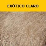 Exótico-claro-legenda