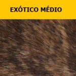 Exótico-médio-legenda